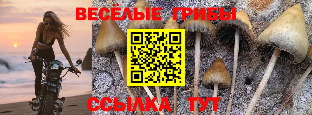 Галлюциногенные грибы мицелий  Вход с VPN  где можно купить наркотик  Псилоцибиновые грибы мухоморы  Верхняя Пышма 