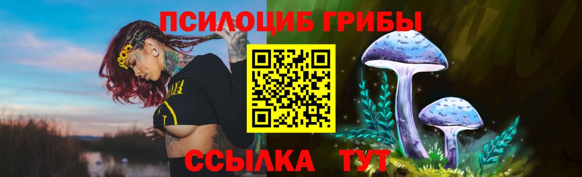 Галлюциногенные грибы Psilocybe Верхняя Пышма